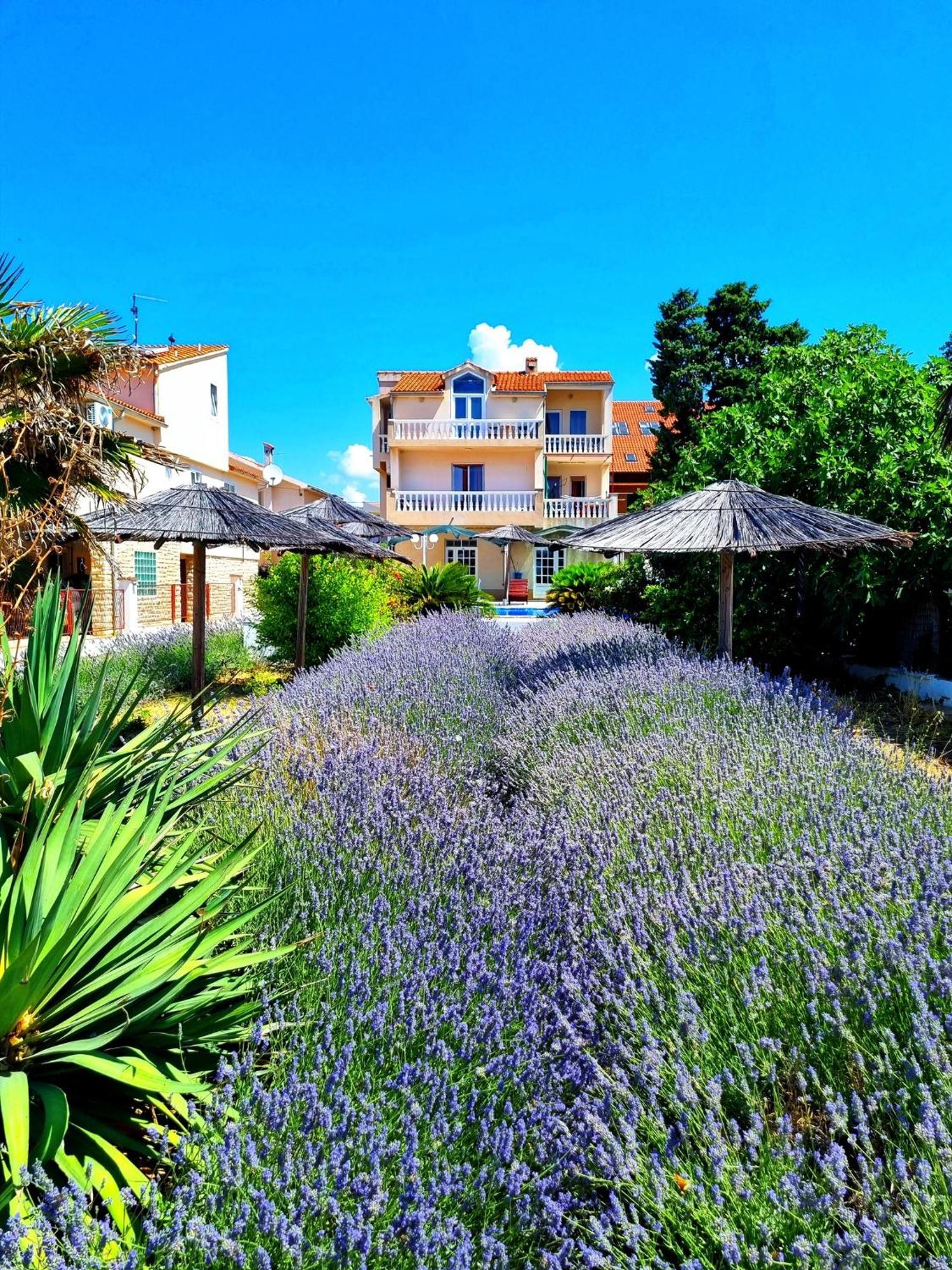 Villa Lana Tribalj Exteriör bild